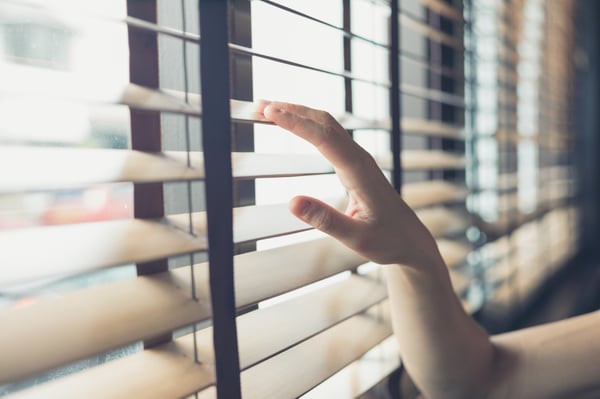 Bamboo Window Shades, Skyline